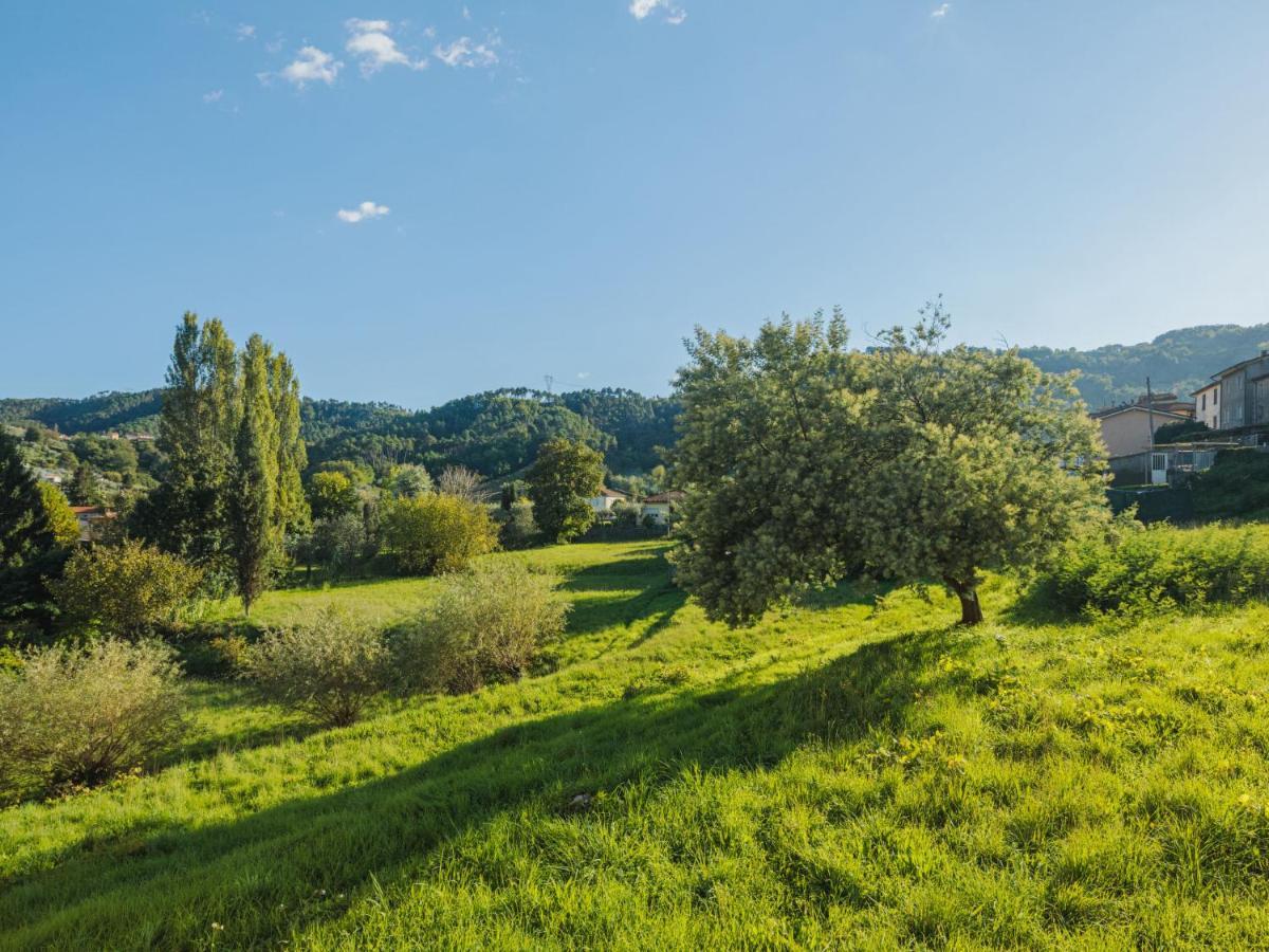 Appartamento Locazione Turistica Barbara Corsanico-Bargecchia Esterno foto